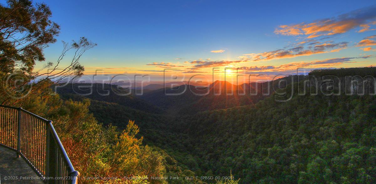 Peter Bellingham Photography Canyon Lookout - Springbrook National Park - QLD T (PB5D 00 3906)